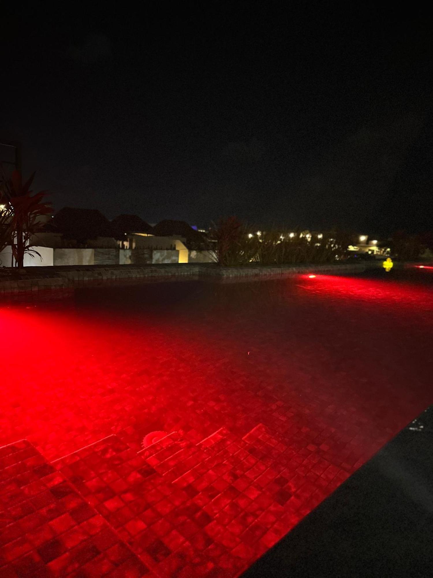 Apartment Downtown Penthouse With Private Pool, Rooftop Pool And Gym, Short Distance From Beaches, Restaurants & Nightlife